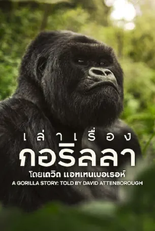 A Gorilla Story เล่าเรื่องกอริลลา โดยเดวิด แอทเทนเบอเรอห์ เซอร์เดวิด (2026)